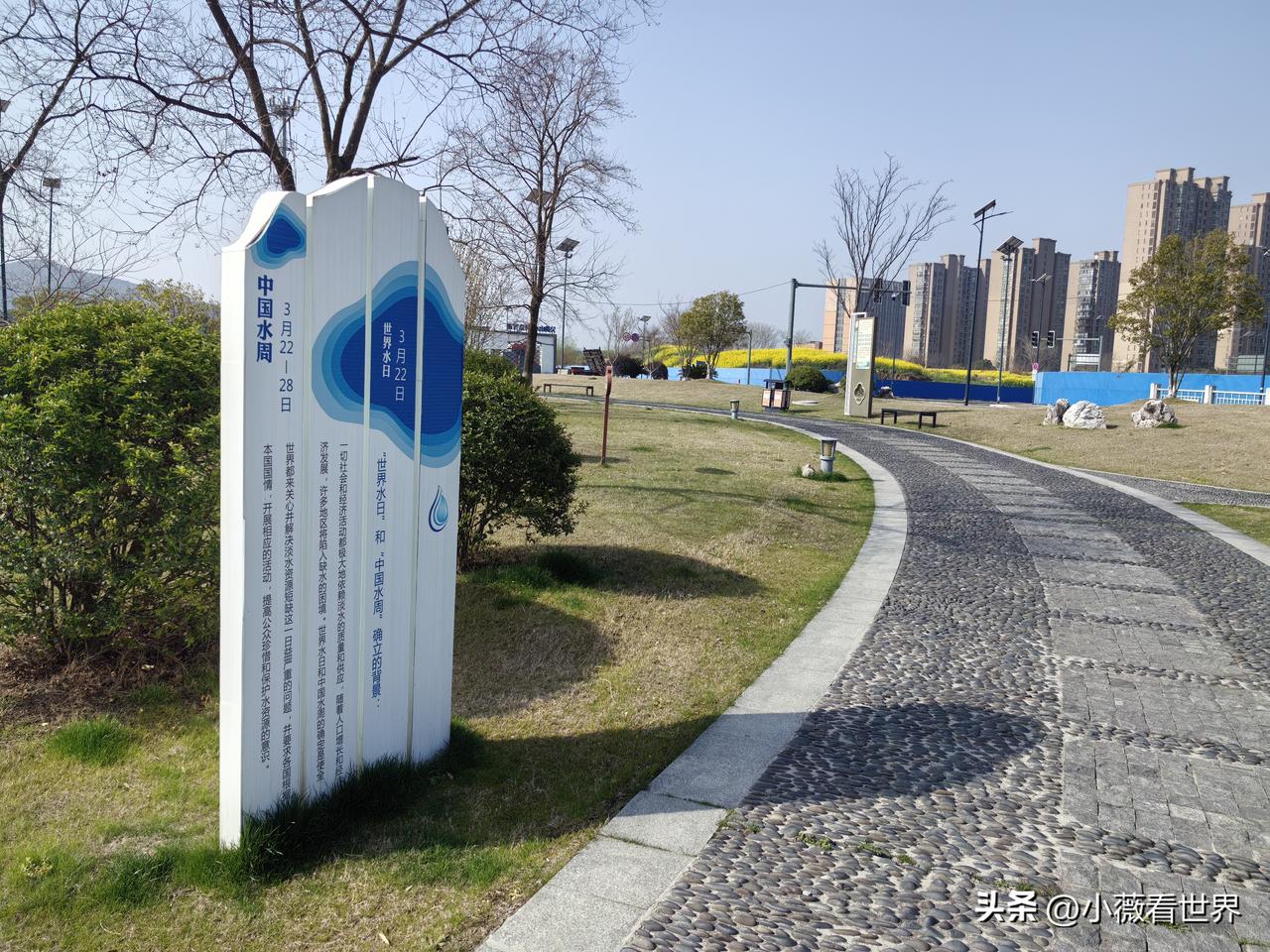 这一条绿化大道，在一条笔直向前的大河边，大大方便了附近的人来这里休闲散步。

太