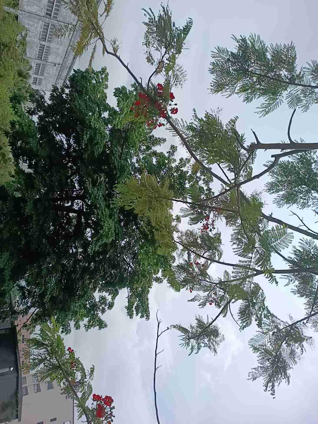 我的今日状态：🏃‍➡️运动
我这里的天气：☀️晴天