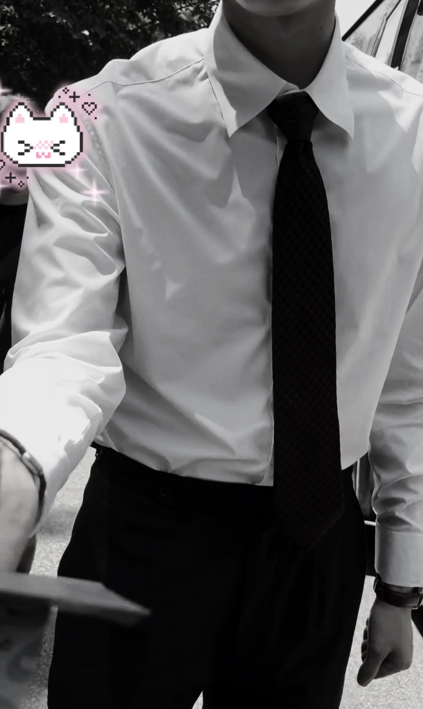 bgm喊完了我喊什么。