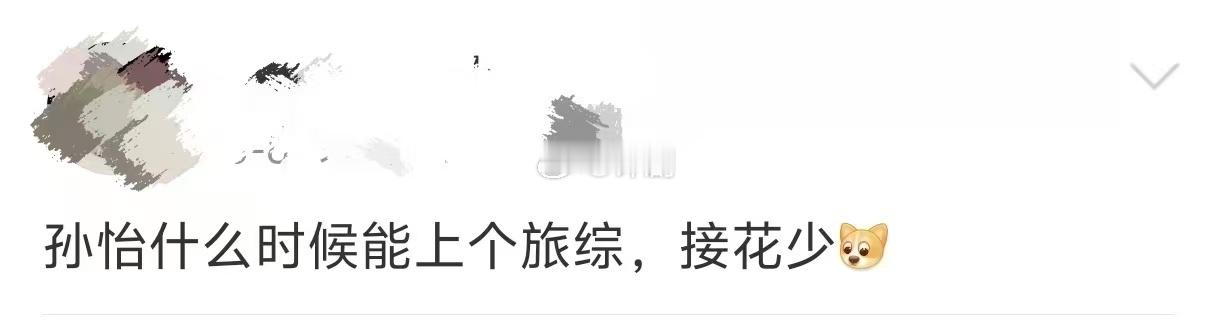 孙怡花少8面试 花少这种长线旅行的节目最需要的就是不内耗的嘉宾，遇到突发情况不抱