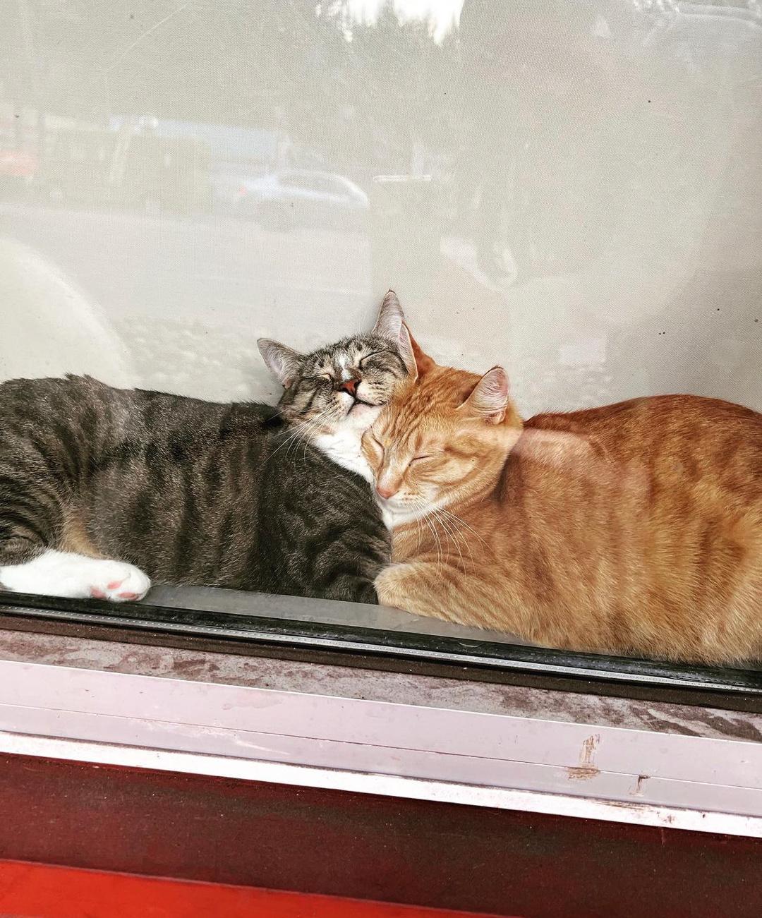 我和你天下第一最最好 