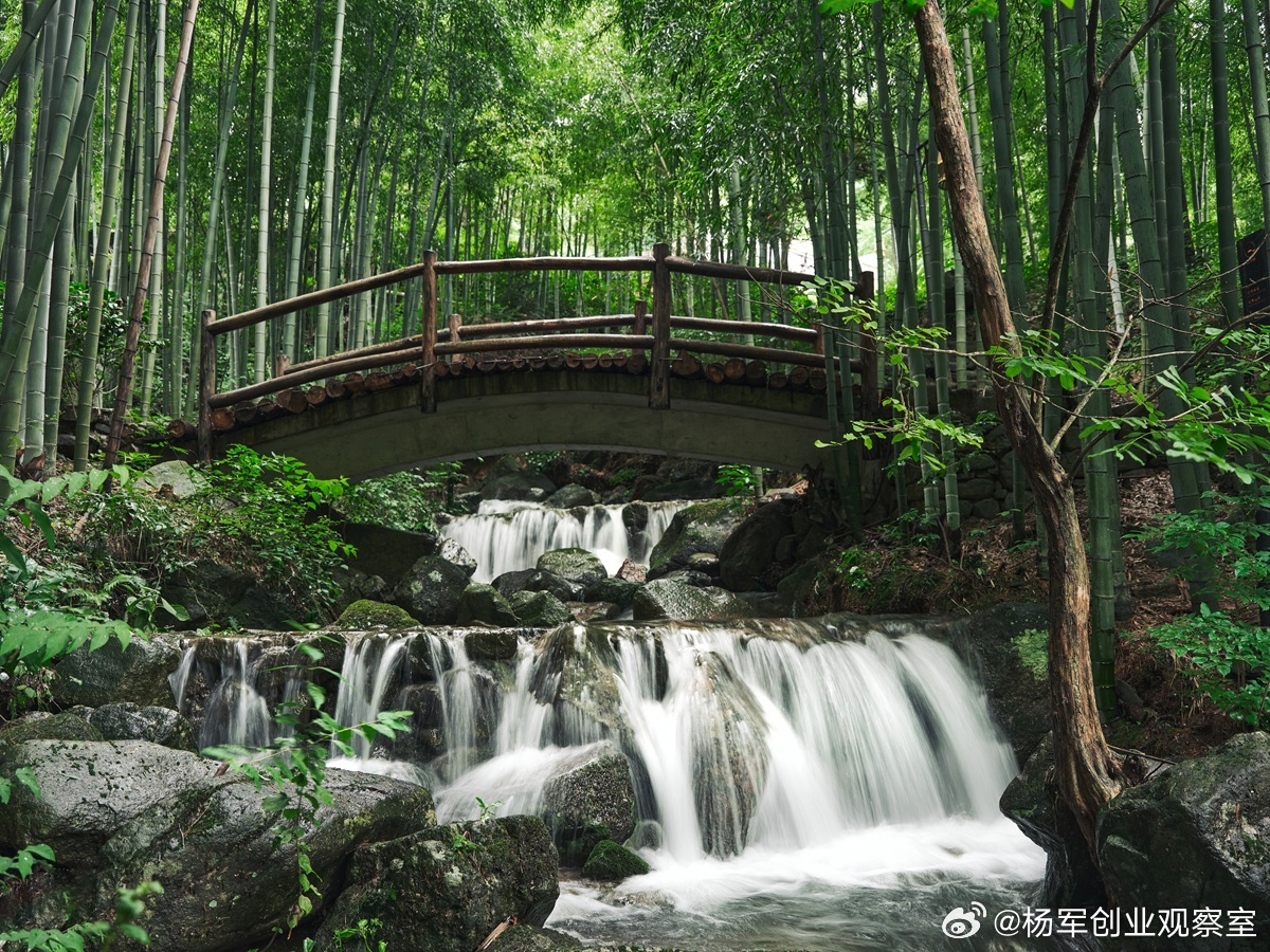 【公司决议：程序合规是“盔甲”，但“轻微瑕疵”并非致命伤】公司股东会/董事会决议