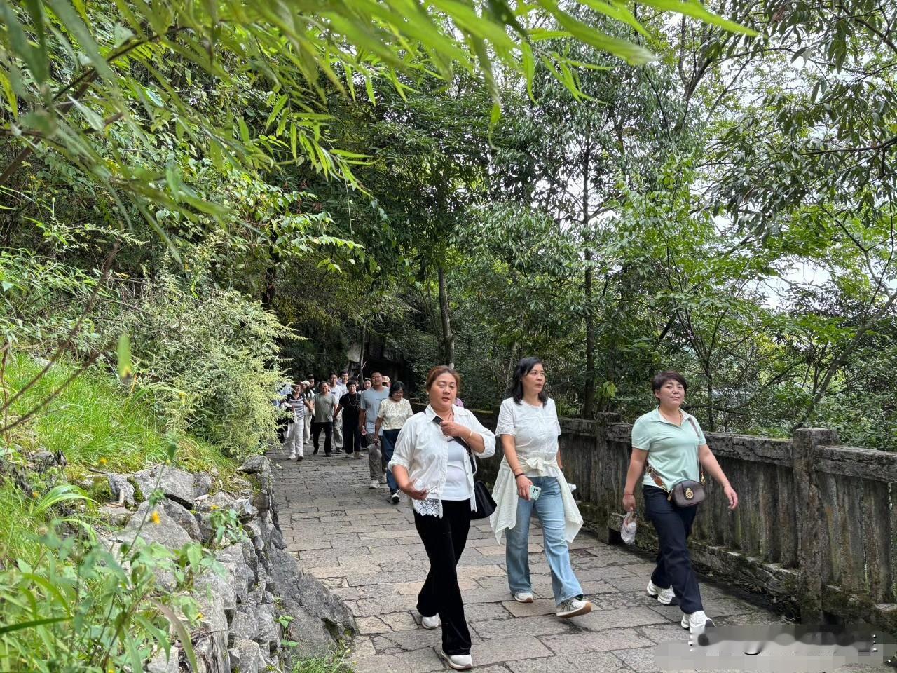 终于知道重庆旅游为啥口碑这么好了！这次亲身体验，完全改变了我对网红城市的看法。