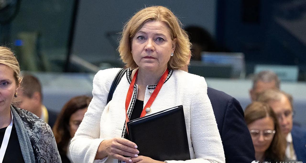 【“欧洲必须拨出部分军费研发AI”】
欧盟技术与安全专员称，欧洲必须从大幅增加的