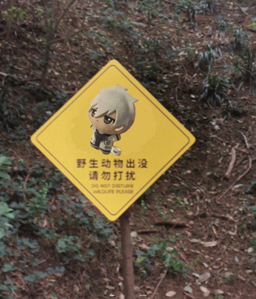 想看🦁玲努进食🐨凪努的动物世界切片（爬行（？？？？ 