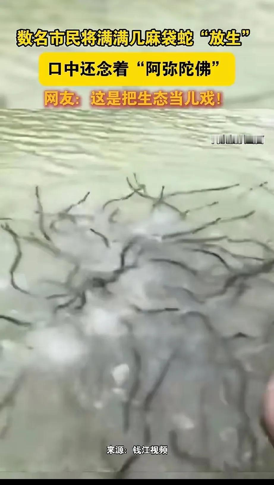 这是犯了什么滔天大罪，得用这种方式放生？
网友拍下一幕放生的场景，女子嘴里念着四