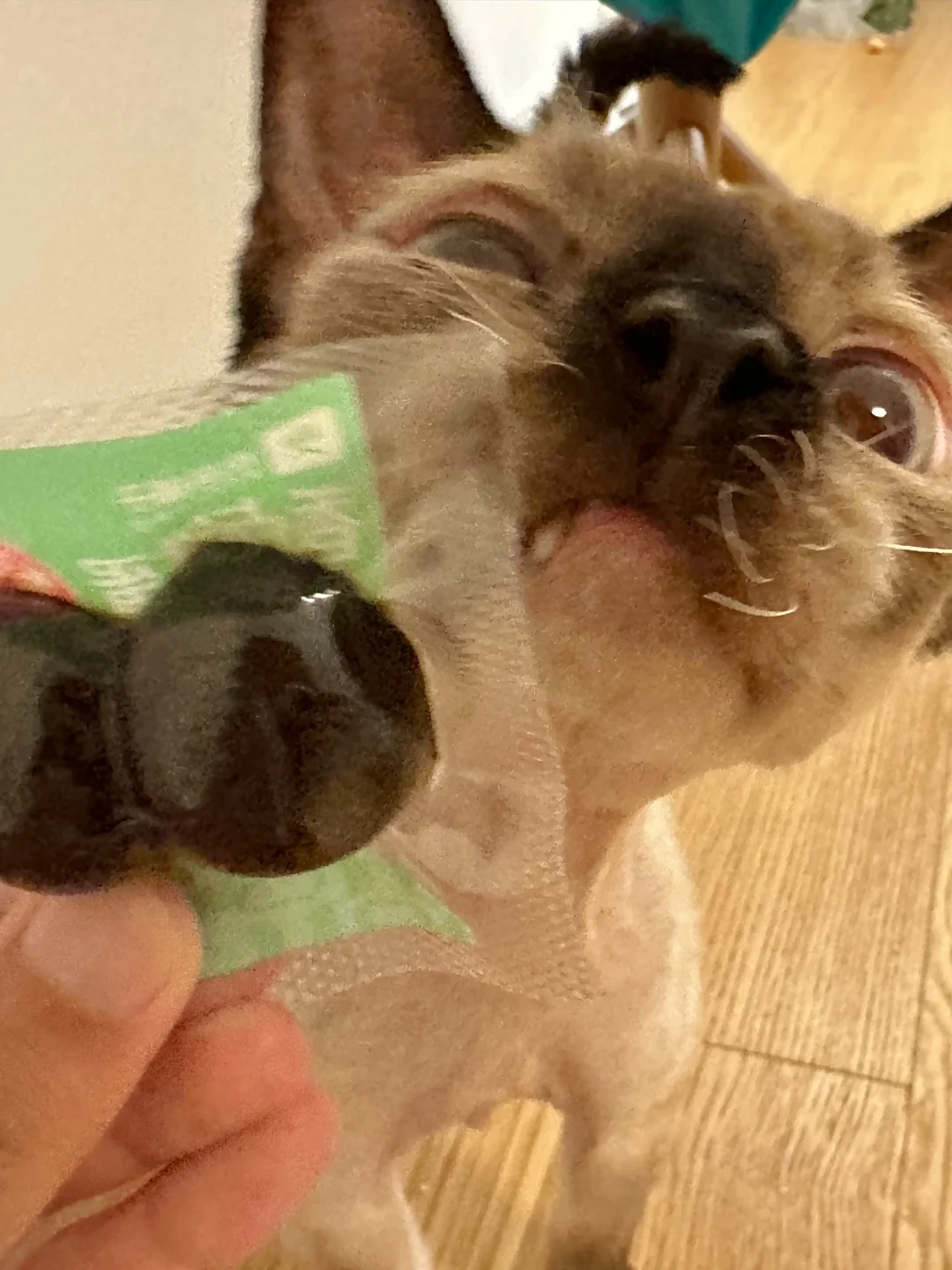 每吃一包卤鹌鹑蛋就有公菲佣失去尊严