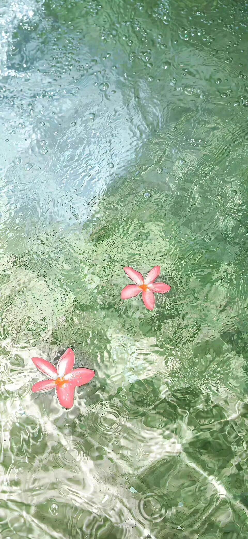 每日一善 “愿你看遍世间繁华心中无所牵挂.”“爱意在厌阳高照中灿烂  思念在星火
