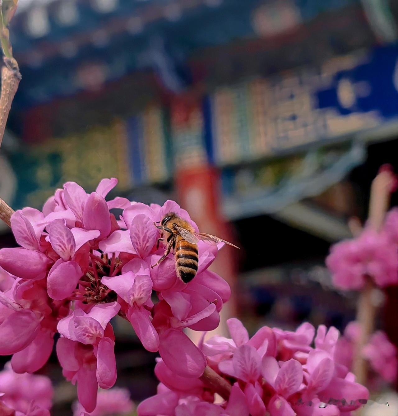 西固金城公园的优点是风景美…

而且景色(✪▽✪)比较集中…

最重要的一点是从