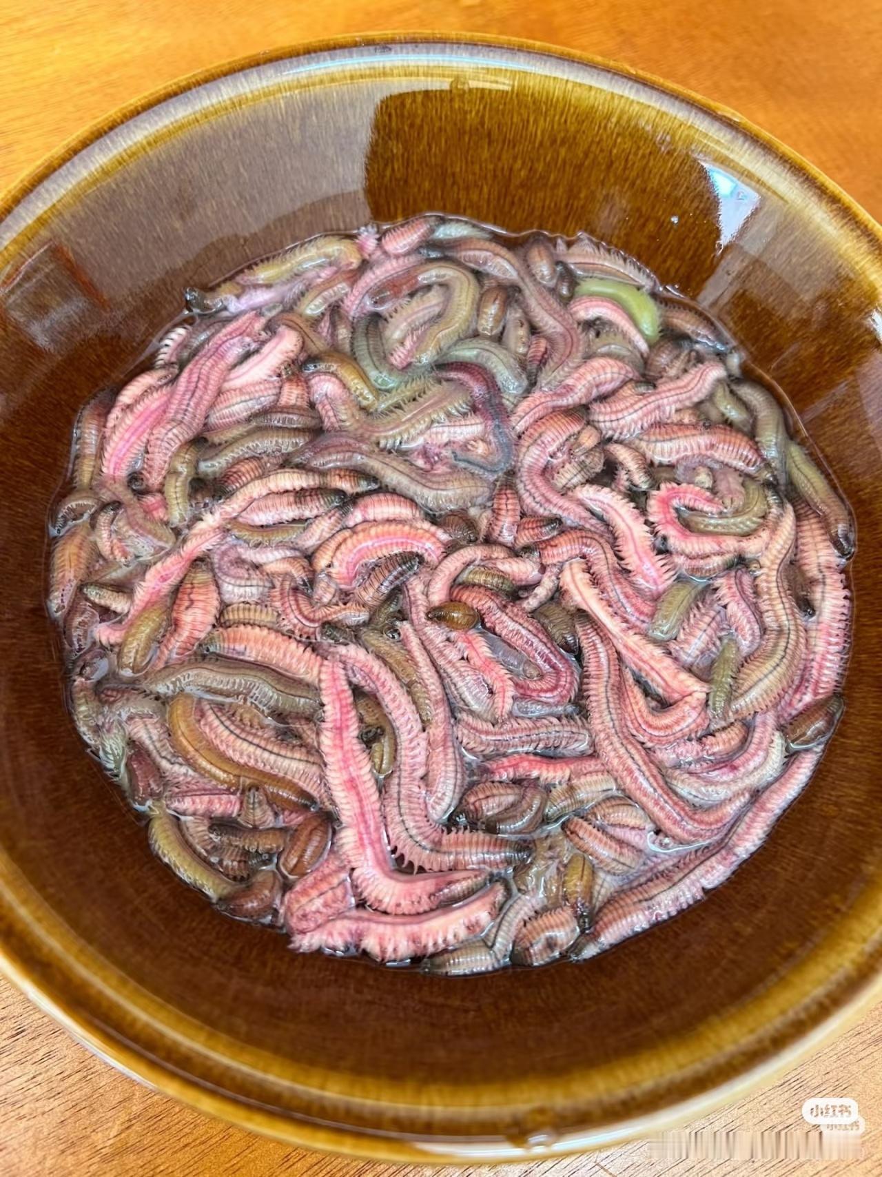 广东美食？？？我咋没见过啊