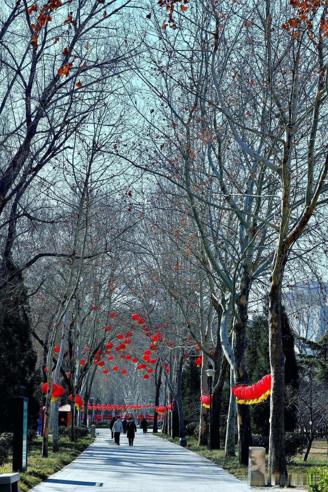 只要心情好，时时刻刻都在过年，正月十一的达活泉3A景区，那真是充满了浓浓的年味。