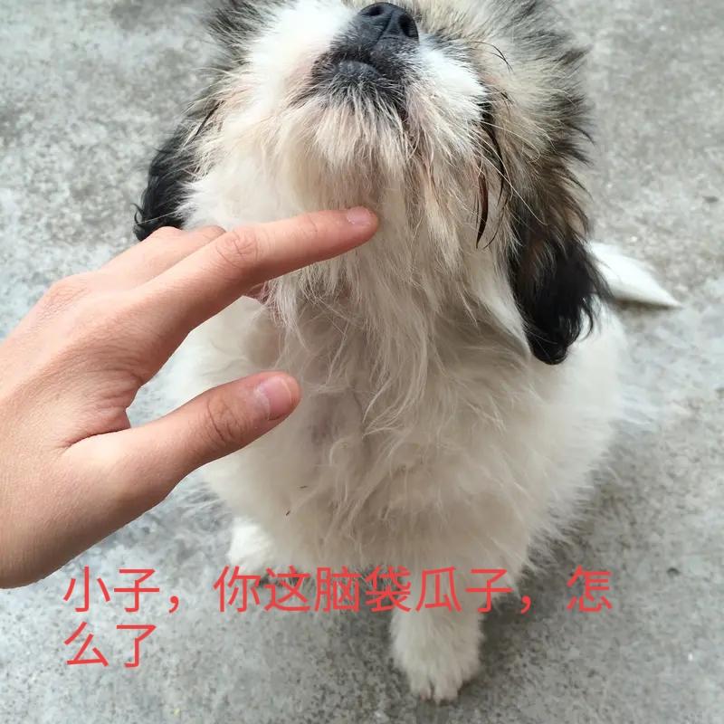 “小子，你脑袋瓜子怎么了？还淌血了呢？”
“这不，刚会，在那儿瞎蹦达，磕的吗。”