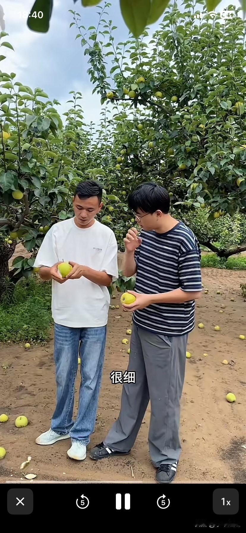 厉怀远的家人源源不断的支持厉怀远来了！
真是人多力量大啊！
二姨，三水从安徽砀山