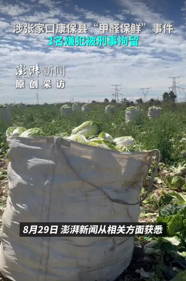 2026年8月29日，据澎湃新闻消息，记者从相关渠道了解到，此前全网关注的河北张