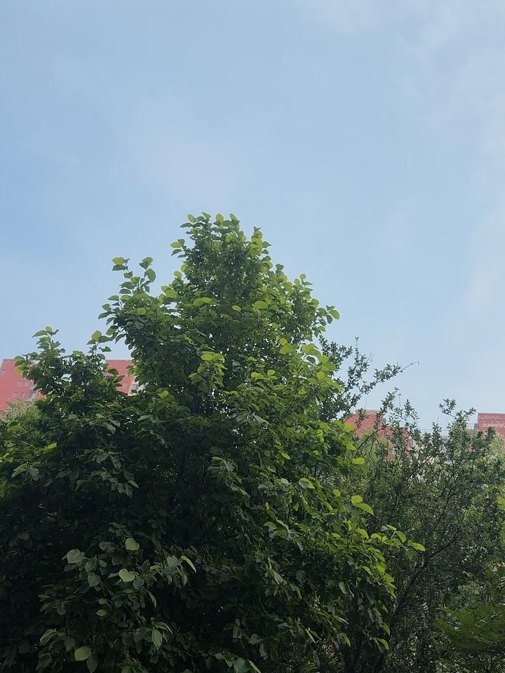 应该手段再强硬一点！
以其人之道 还治其人之身
打得一拳开，免得百拳来
一味地忍
