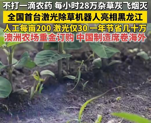 “这科技太省心了！”黑龙江北大荒，一台机器下地，杂草的噩梦开始了。激光“biu”
