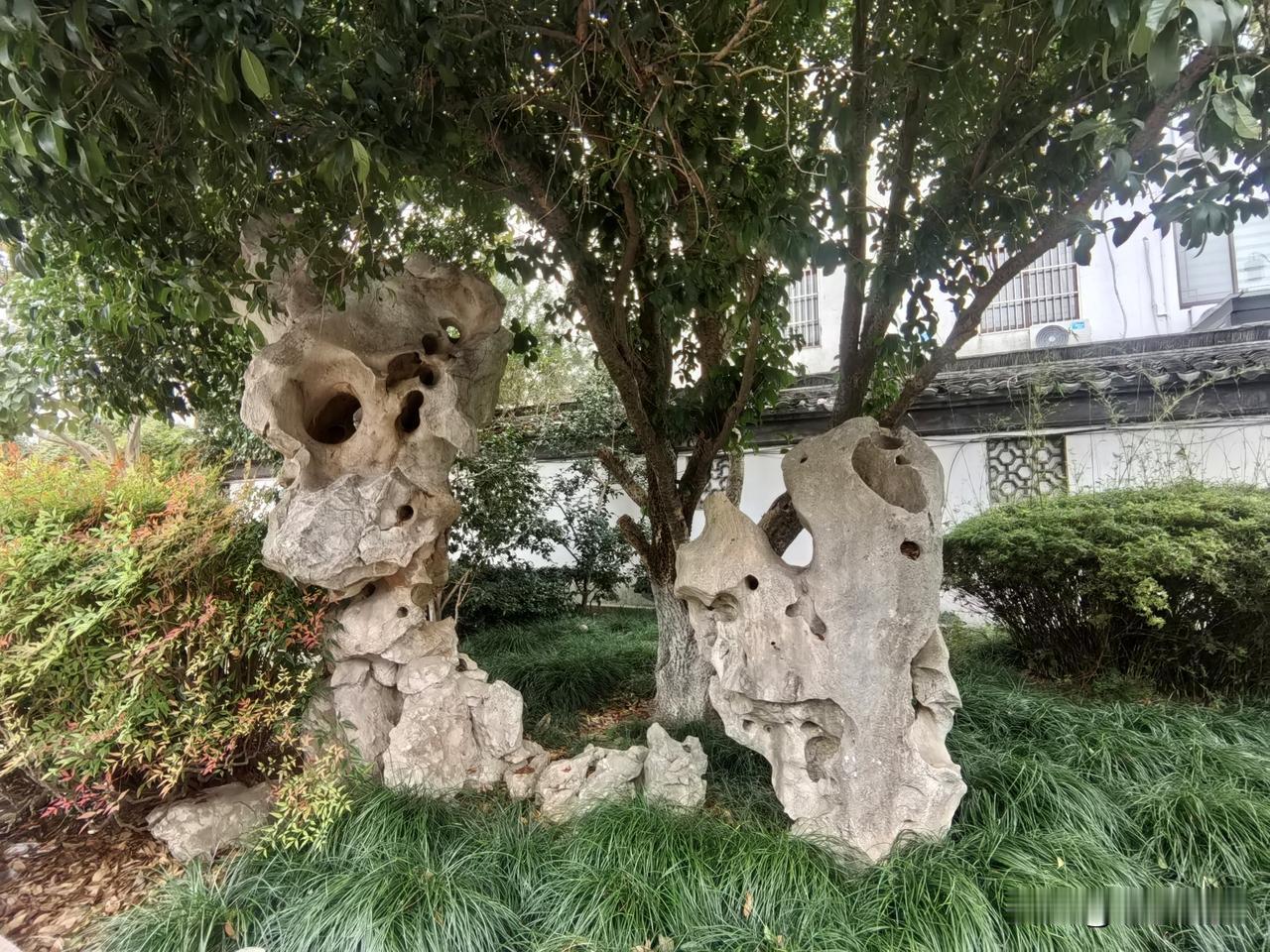 苏州姑苏区万源公园属区级公园，位于护城河畔齐门桥南逸，以植物造景为主，种植香樟、