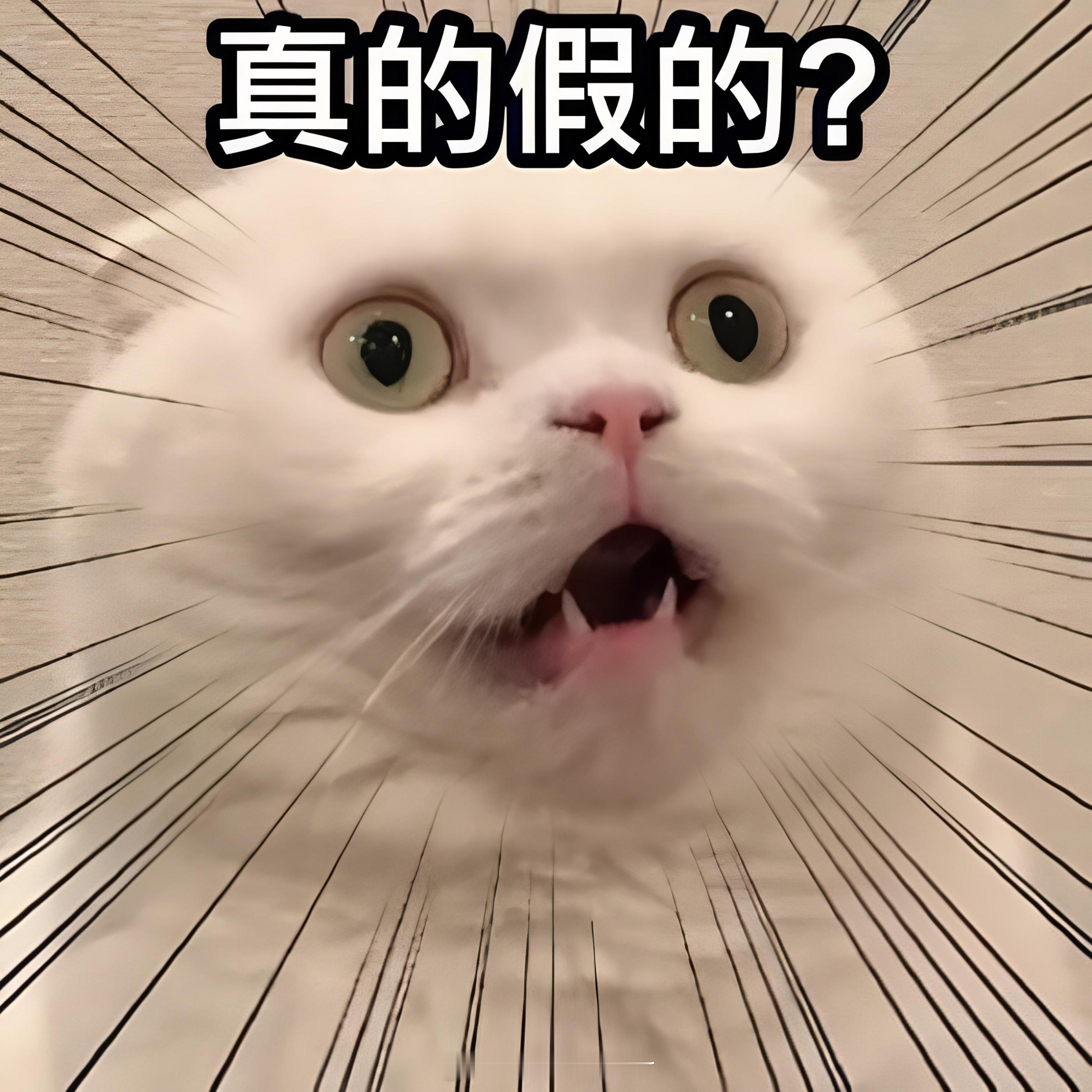 网传追觅大家电解散网传追觅大家电解散，实为战略收缩下的组织架构优化，并非倒闭或关