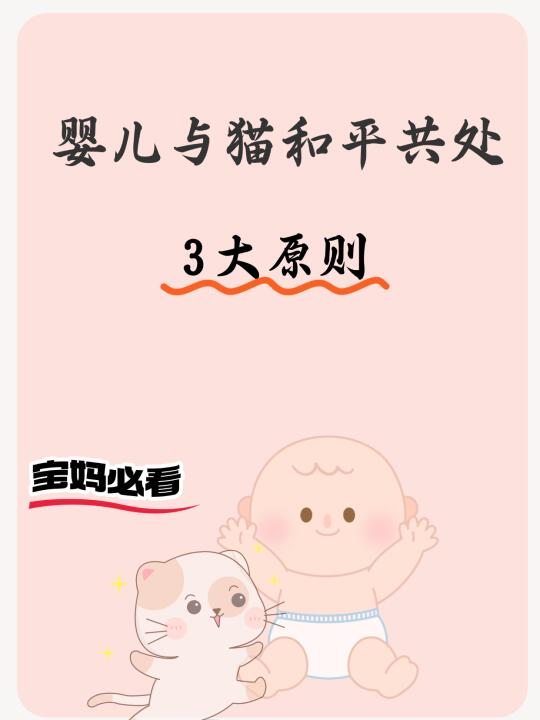 有娃家庭养猫必看！3 大原则保驾护航🐱👶