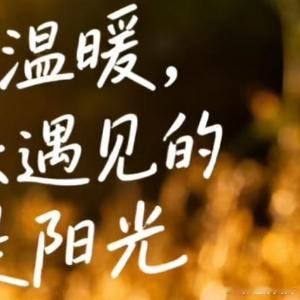 生活手记太阳慢慢升起，愿你我天天眼里有光，心里有暖，脚步从容，所遇皆是温柔，所行