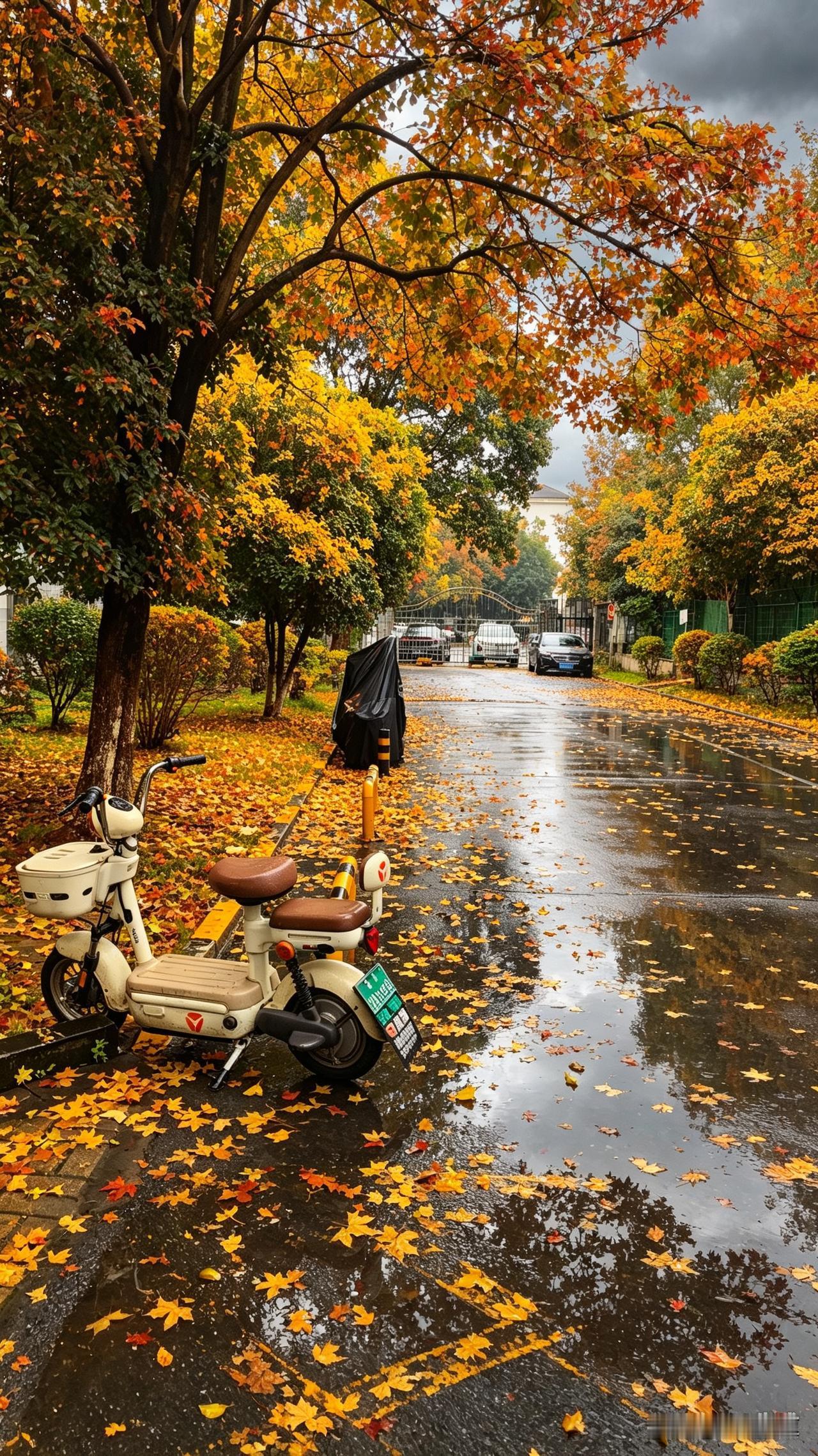 今天南京的雨从早到晚没停过，出门买个早餐裤脚直接湿了半条，鞋里灌的水走起来咯吱响