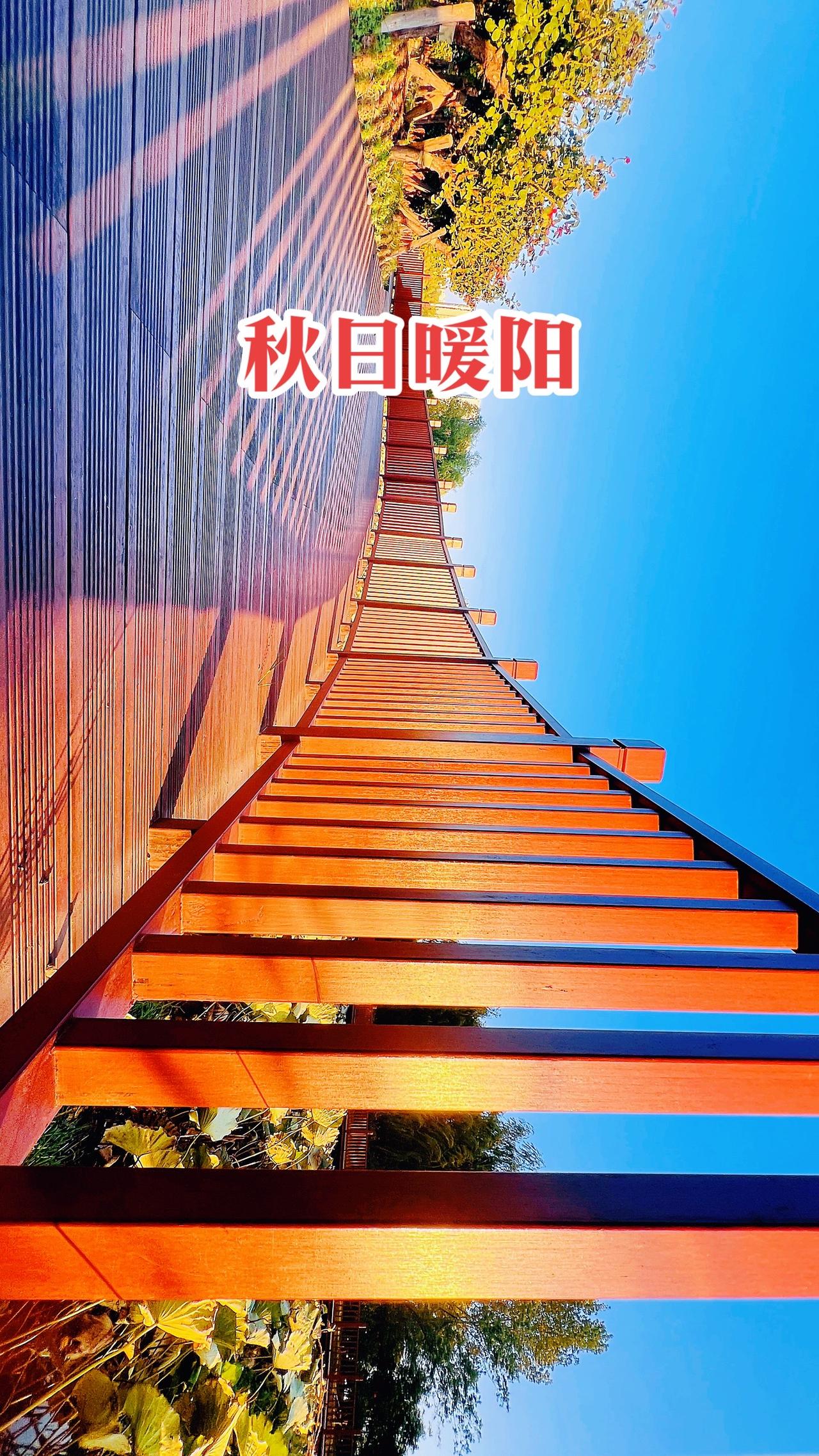 秋日暖阳之下的栏杆