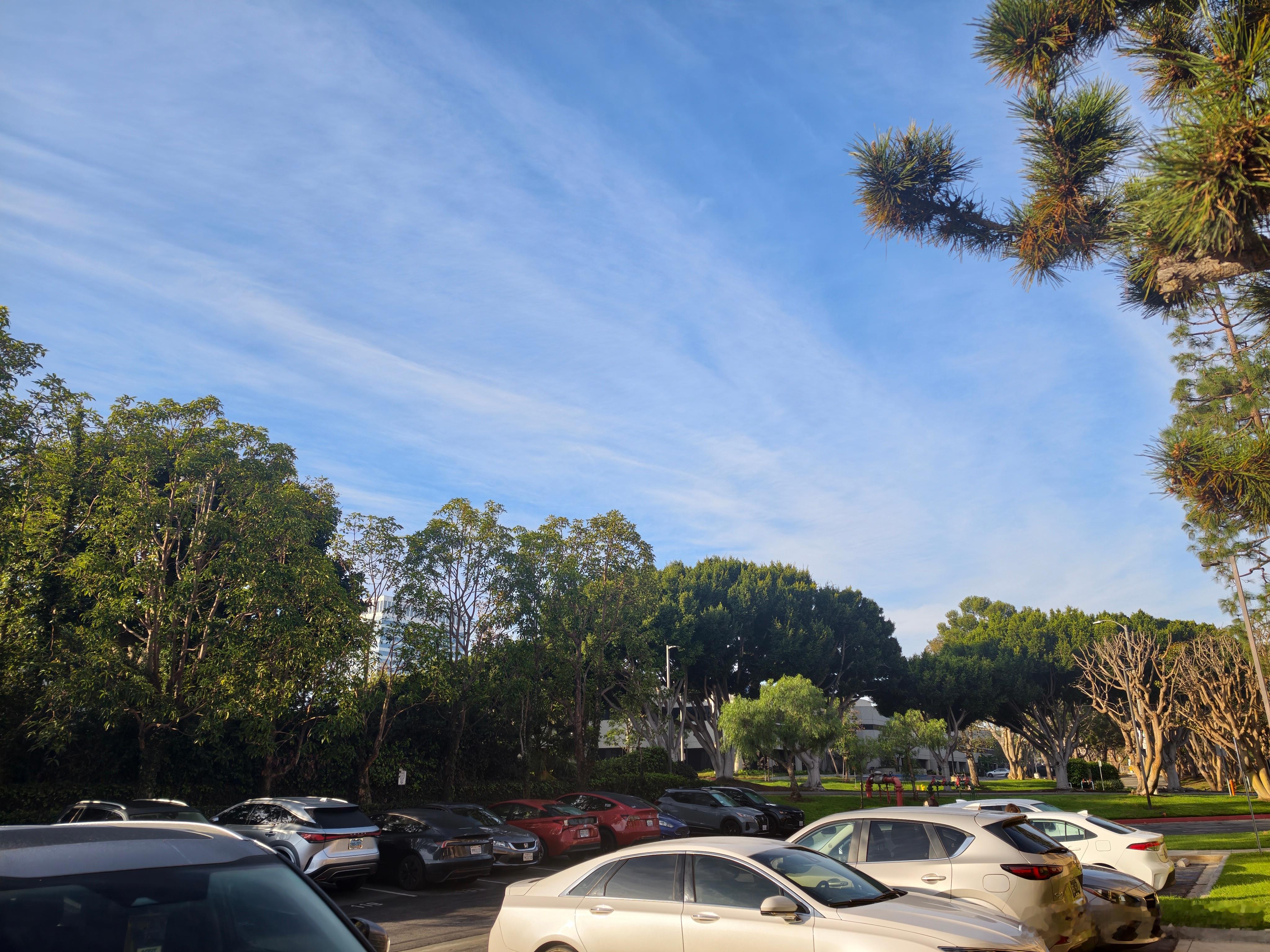 今天回湾区大家都睡了吧 美国·洛杉矶