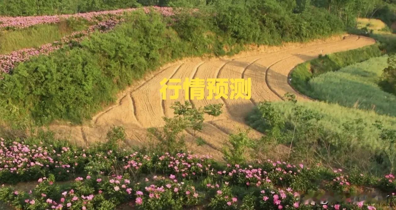 未来药市整体评价及预测（值得收藏关注）

1、整体已进入供大于求阶段。当前行情下