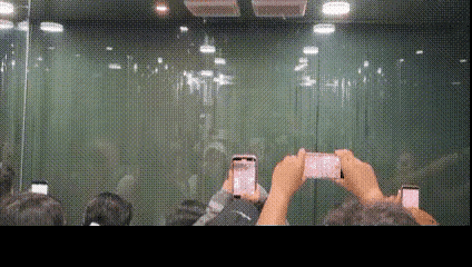 再坚持一会，就能看到好看的了，所以要提前准备