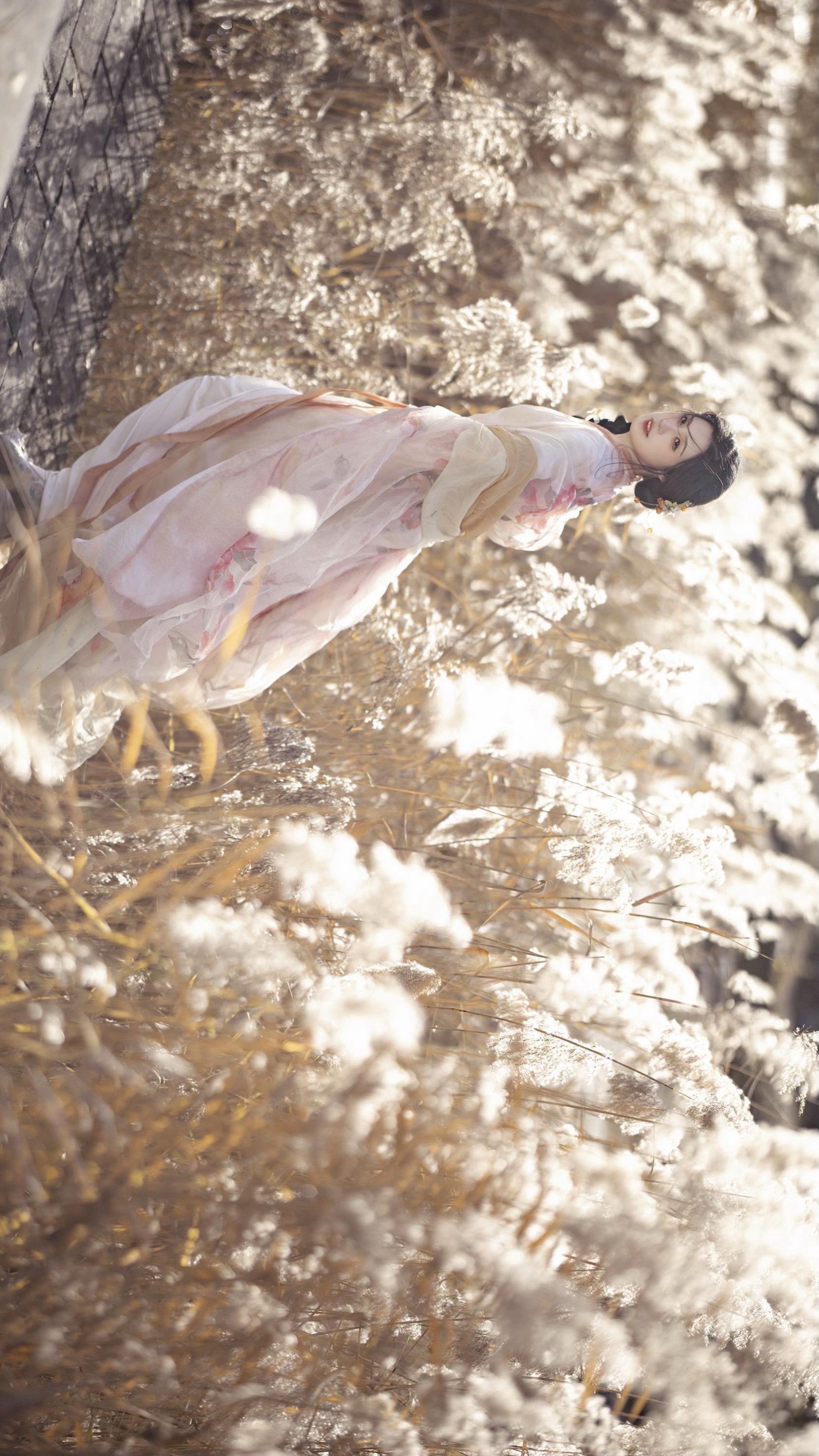 “芦苇花”又拿出去年的客片