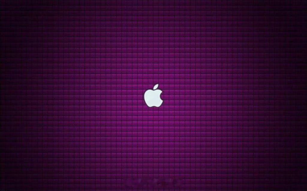 苹果50周年庆祝活动，有点好奇，库克到底要怎么给苹果办50周年庆！毕竟是半个世纪