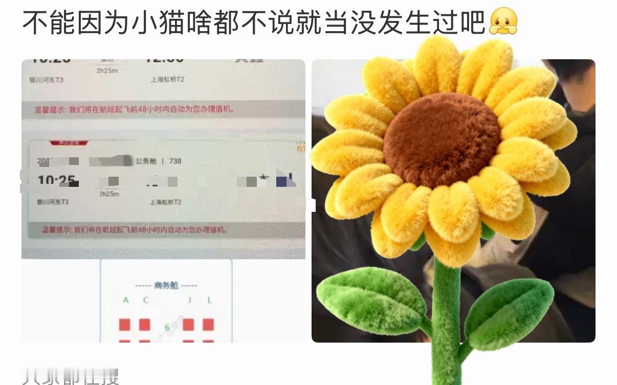 我就寻思问问，他粉丝真的打心眼里觉得他是猫吗？公猫还是母猫？但其实应该兔塑吧，毕