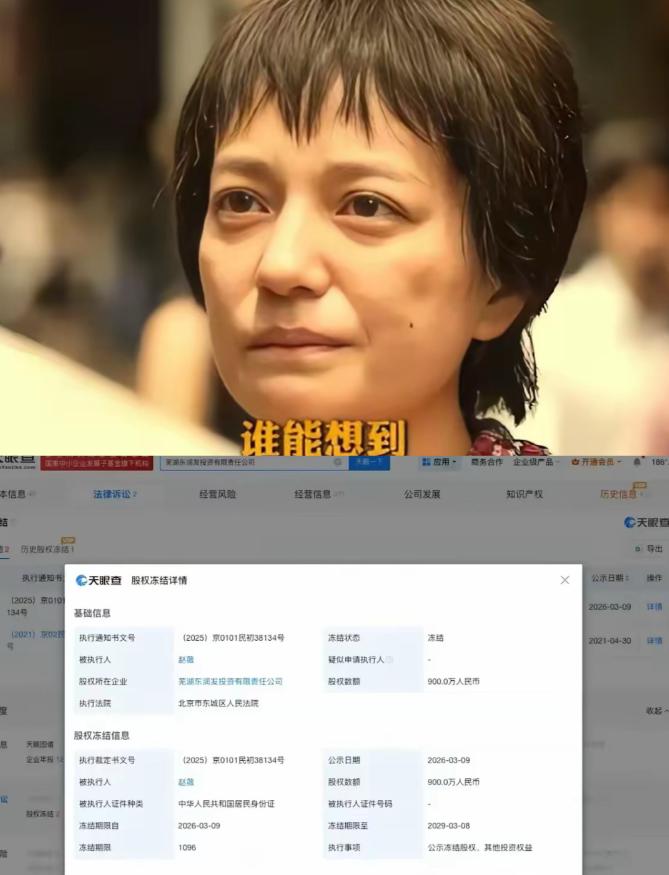 赵薇这回是彻底被“封”住了。

刚看到消息，北京东城法院出手了，把她在芜湖那家公