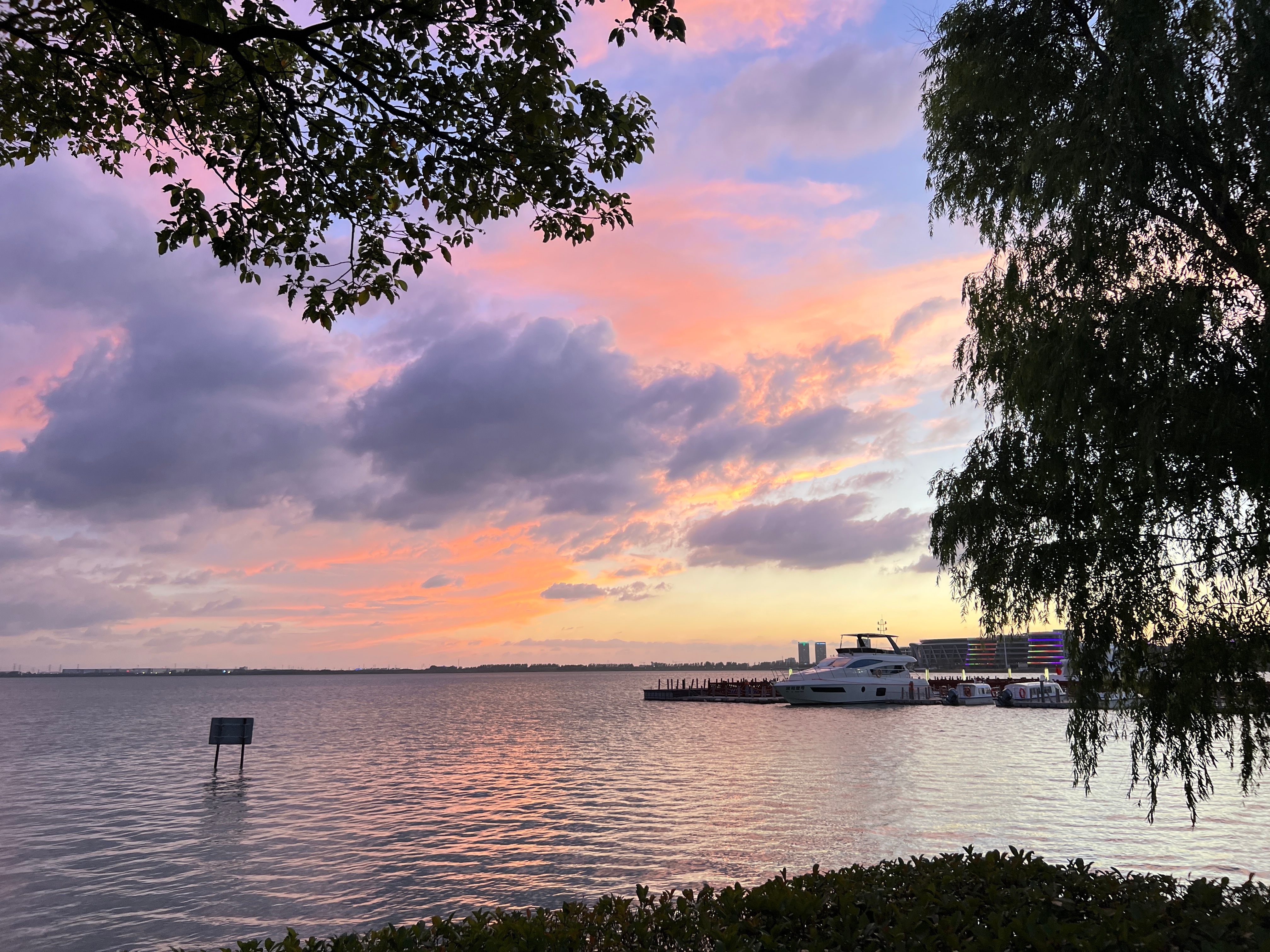 千玺陪你和更好的自己say嗨2025学会做饭了！从外卖党变成有那么几个拿手菜的小