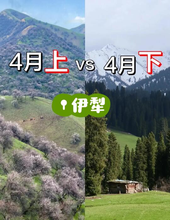 实话虽然难听，4月伊犁确实在尴尬期