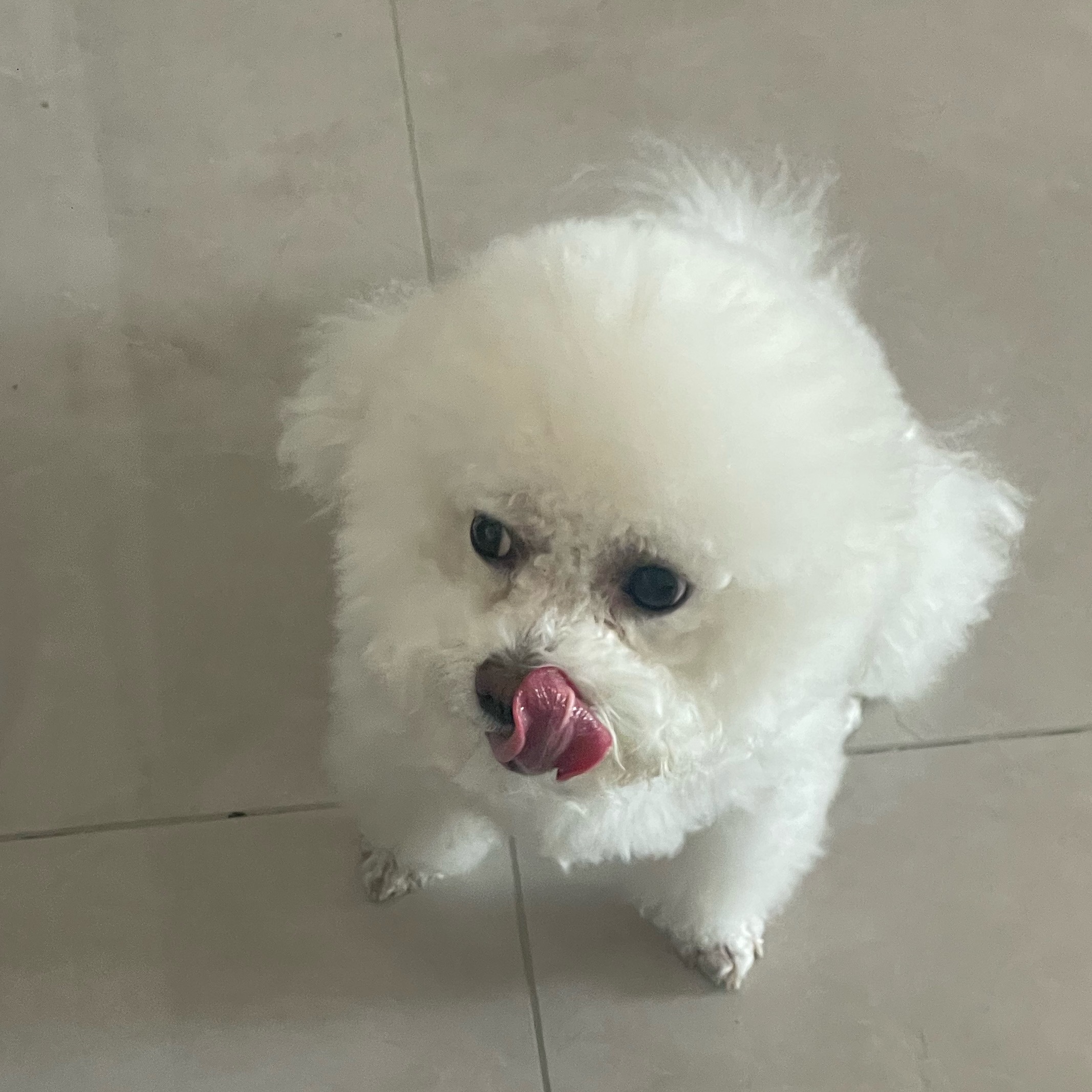 你好 有没有小肉干🤲 