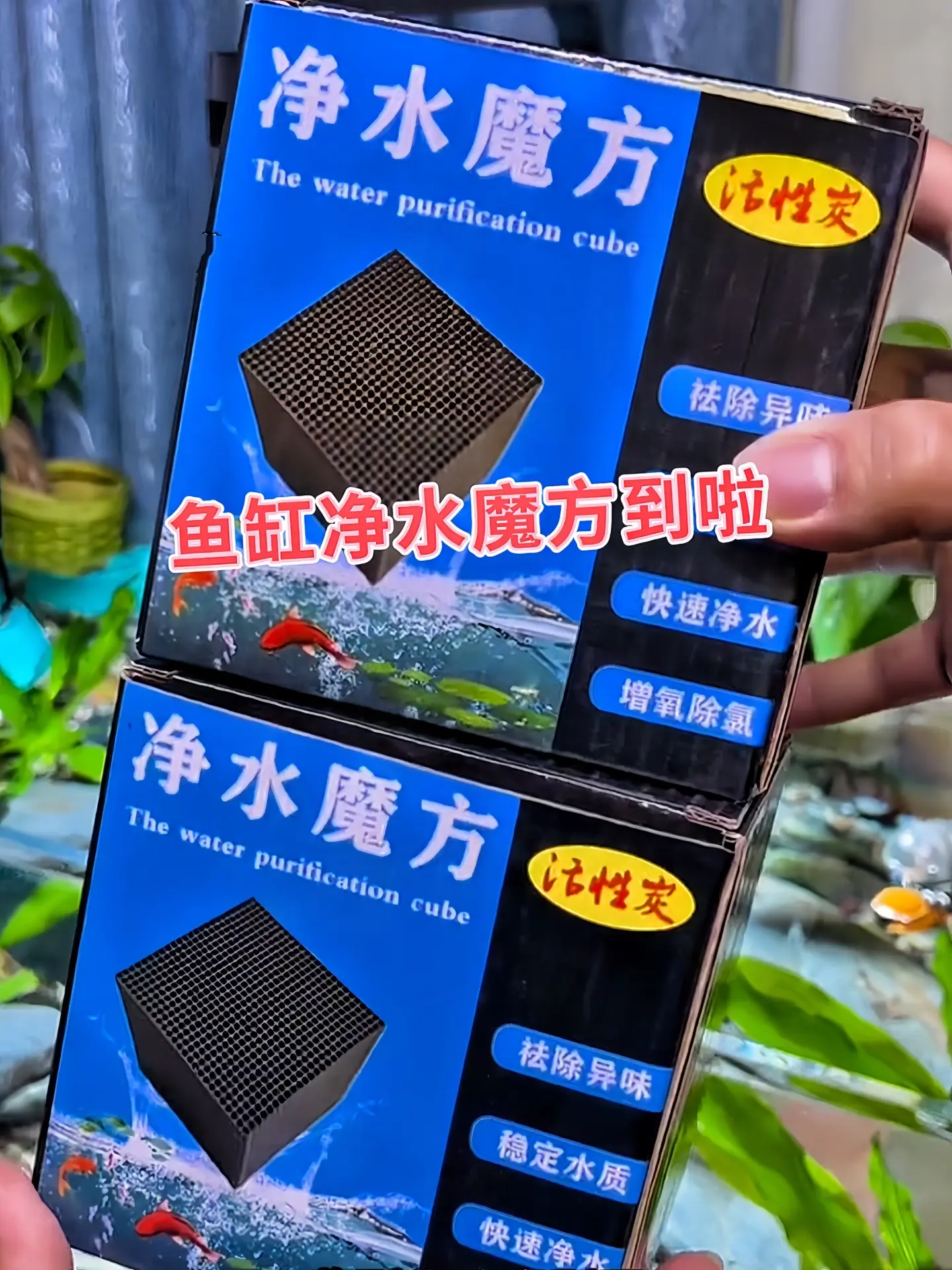 养鱼总为水质发愁？这款净水魔方丢进去就解决！它能快速吸附杂质、消除异味...