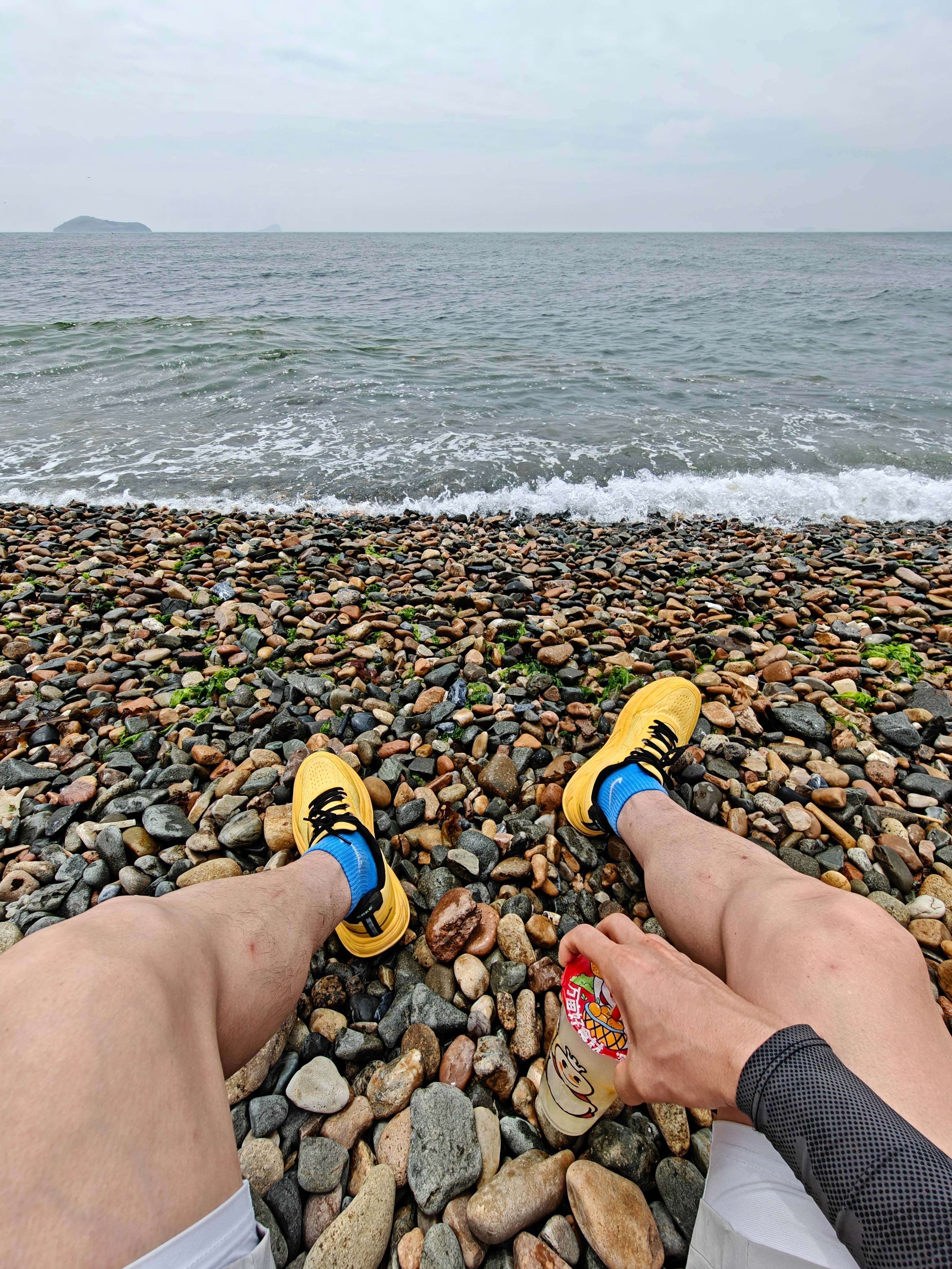 一组实况照📷出门见海，海鸥掠面，梅花鹿、大海、浪涛……大连很美，​这里的大自然