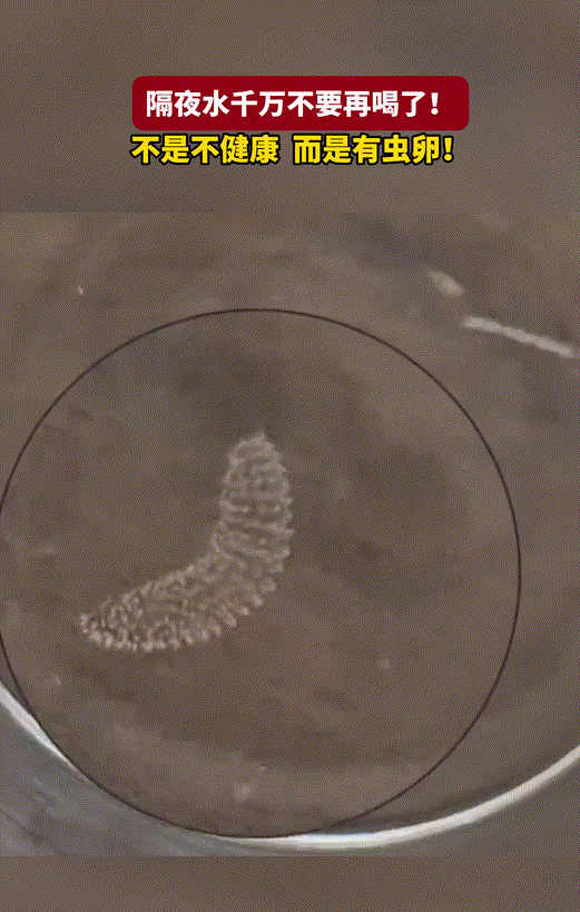 太可怕了!隔夜水不能喝？真相让我连夜扔了水杯！
 
家人们，谁懂啊！我一直觉得“