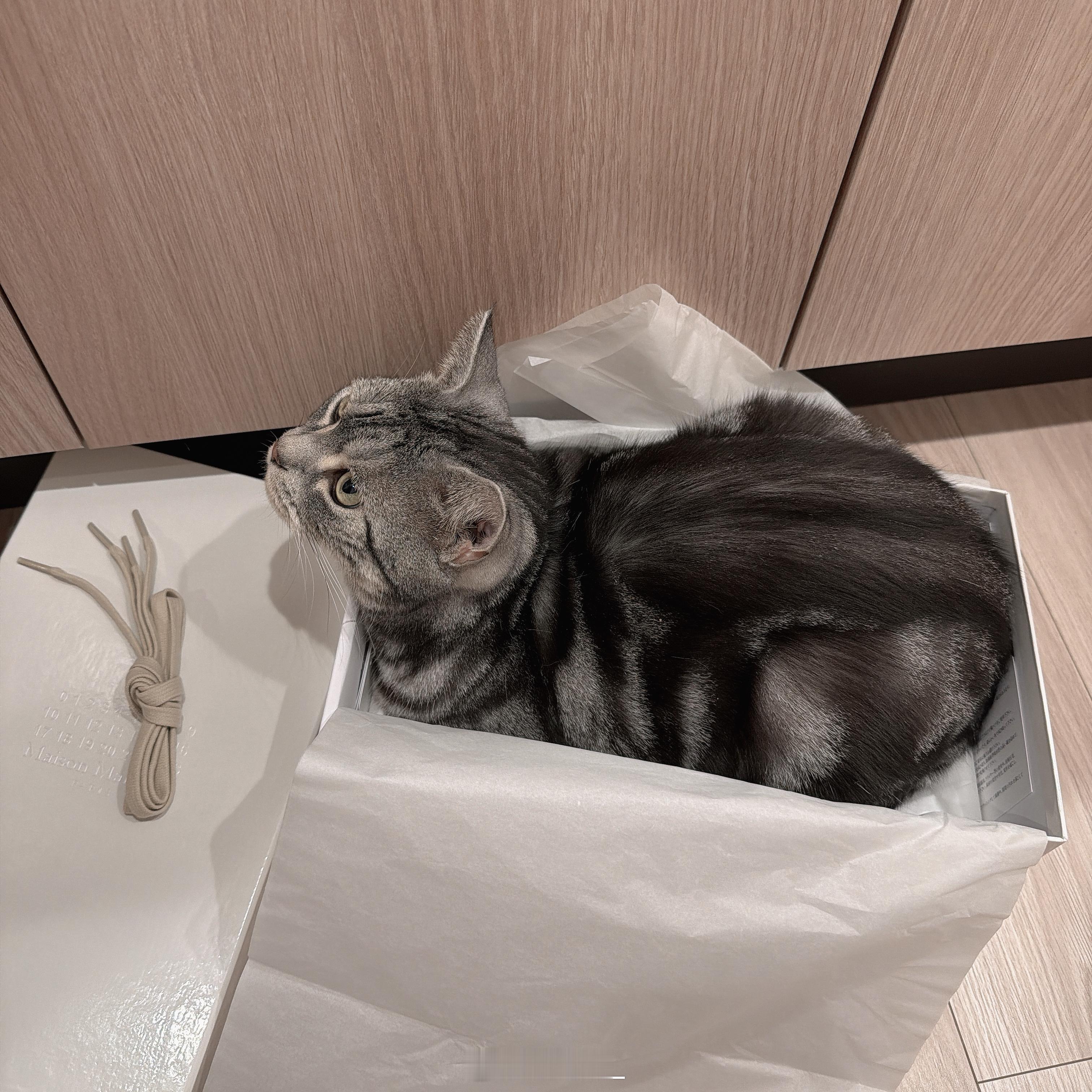 完美契合📦量身定制般的临时小家 
