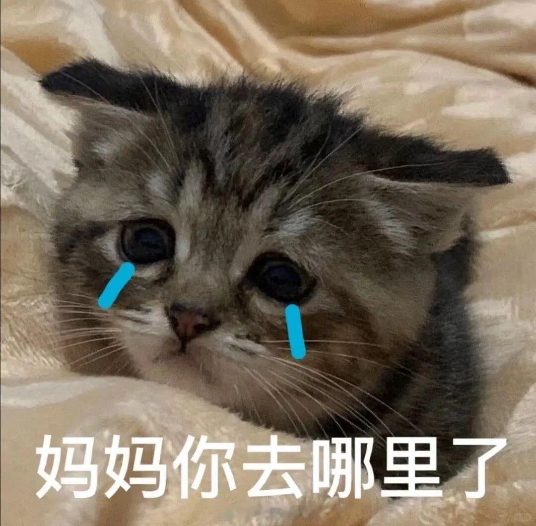 我现在懂了被bp铁会想拉嘿了，因为真的好多好累 