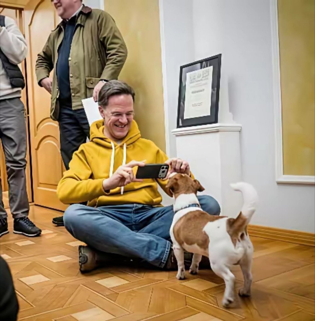 北约秘书长吕特谈最近的基辅之行：“我看着狗的眼睛，它在对我说：我们永不投降。” 