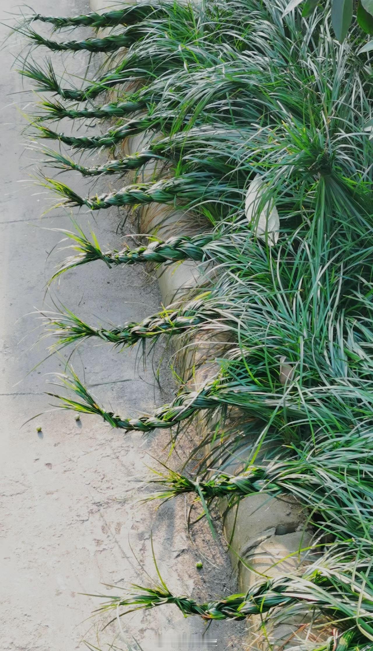 发现一隅，是谁在无聊？ ​​​