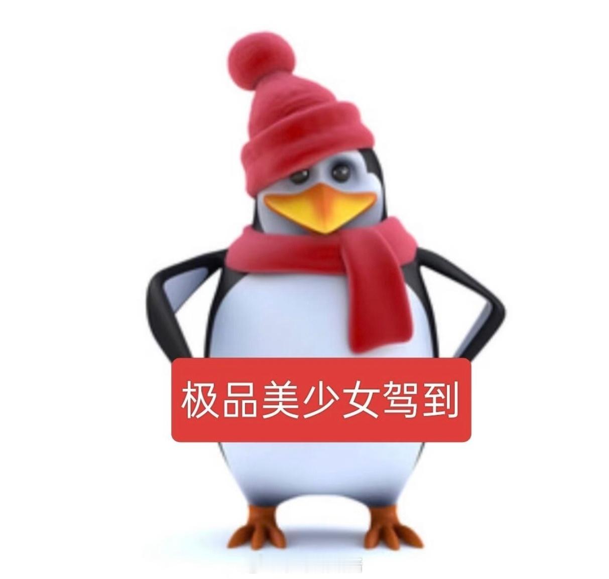 不管是考公考研，踏踏实实才是正确的，方法可以取巧，但努力不行，大家一定要都留心啊