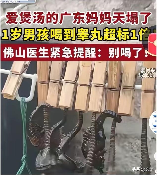 海马汤喝出早发育！

广东佛山一位妈妈，因担心11岁儿子长不到175cm，每天熬