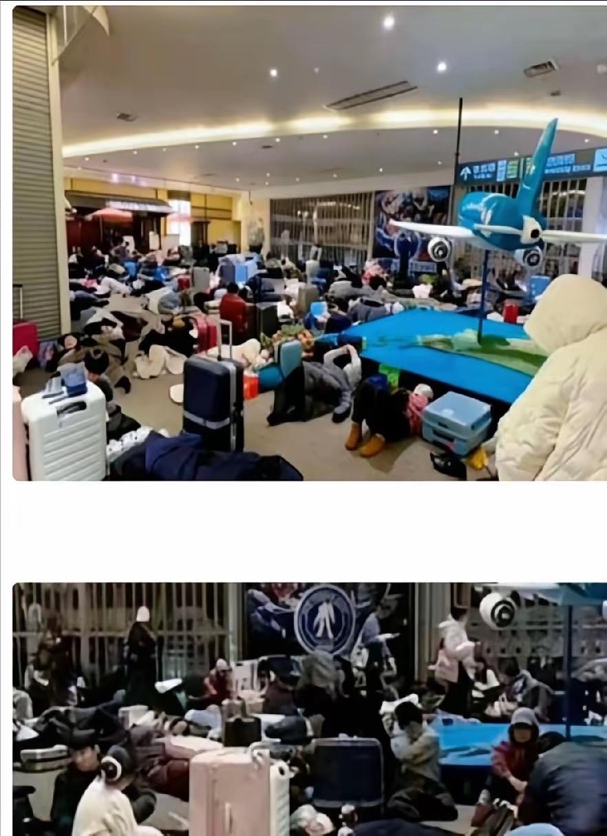 1800名游客被困北海道机场，闹着要“包机”回国。可调查下来让人脊背发凉：他们中