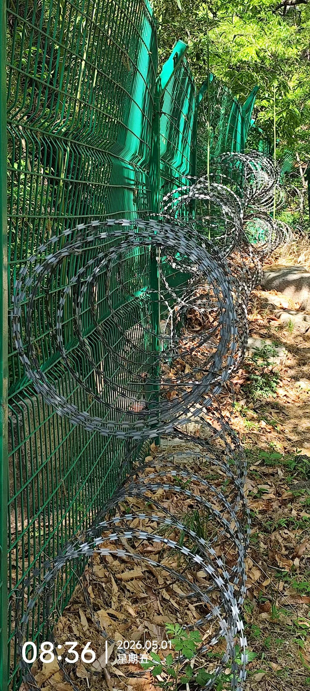 【山东不仅泰山，崂山也被滚刀网圈起来了】
今天，山东青岛的一位朋友给我发来几张图