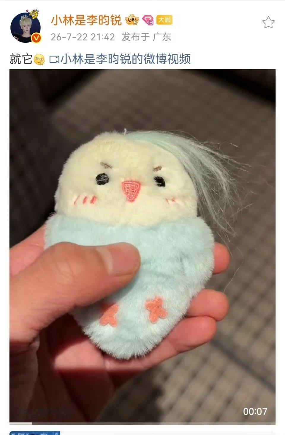 李昀锐晒空姐给的玩具刷到昀锐哥晒的小鹦鹉！这毛毛手感绝了，蓝乎乎的像块小云朵～空