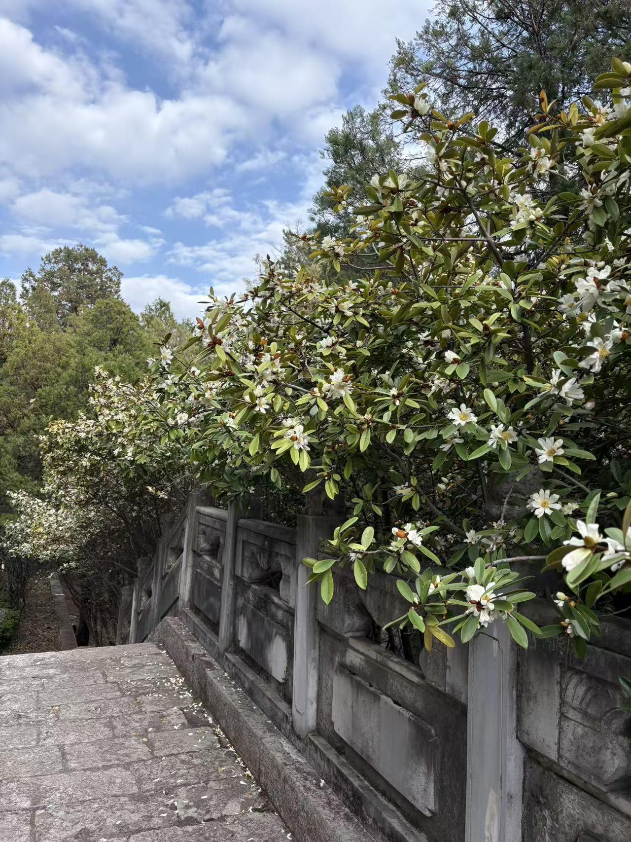 垃圾分类当然能做到！2019 年那阵全民分类，四色桶到处都是，年轻人背口诀背到崩