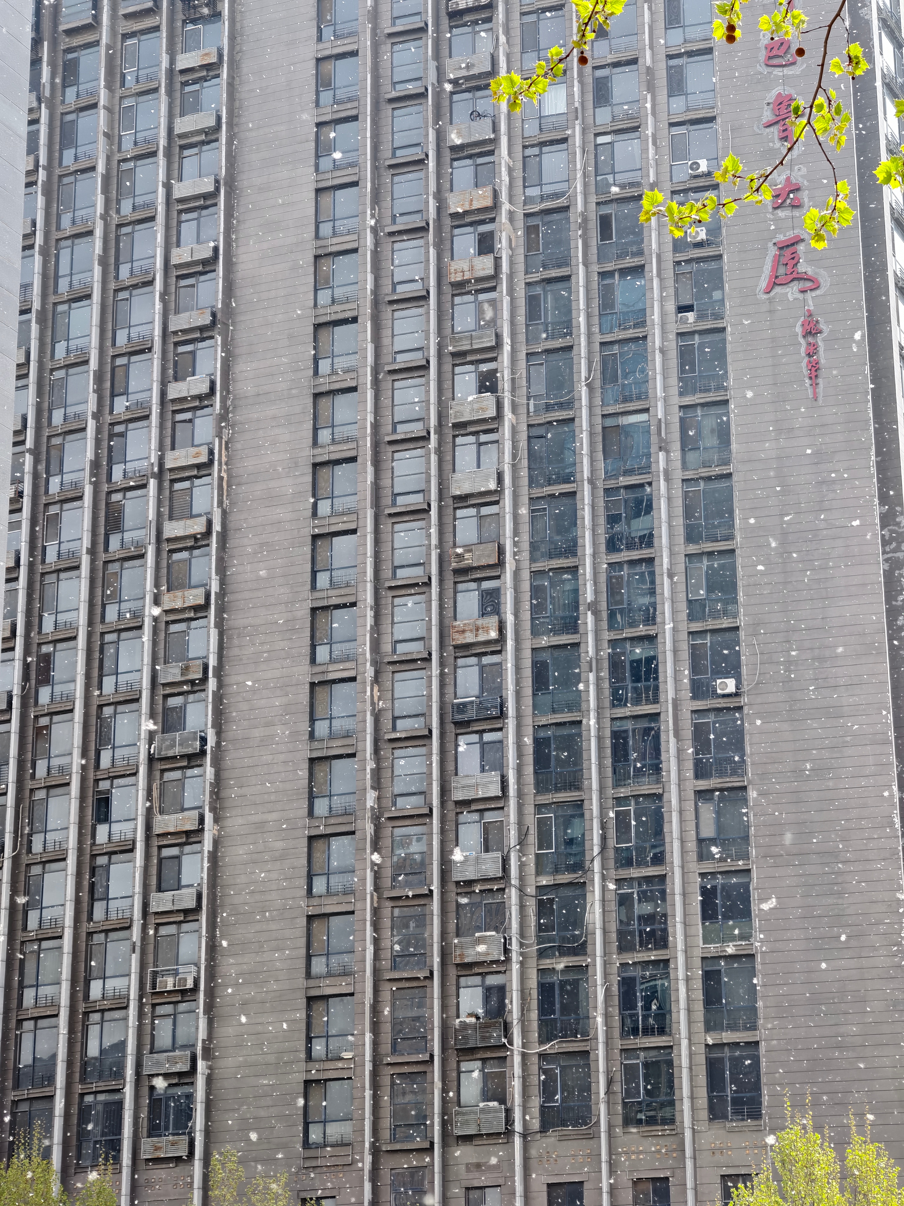 有没有老北京来说说，咱老北京的雪季啥时候过去？